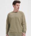 Standard Weight Sweatshirts - Raglan