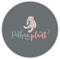 Pethau Plant